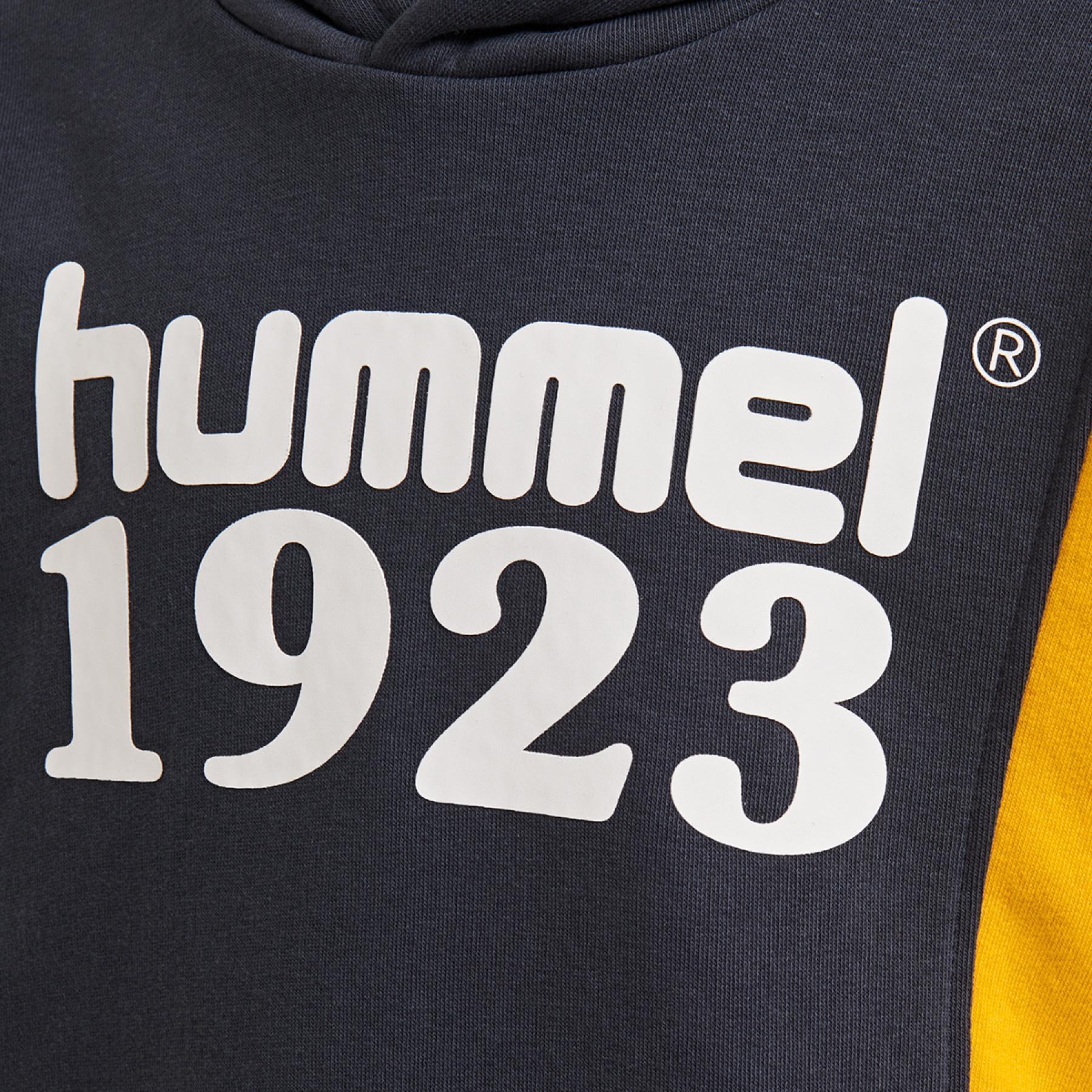 Dziecięca bluza z kapturem Hummel hmlpresley